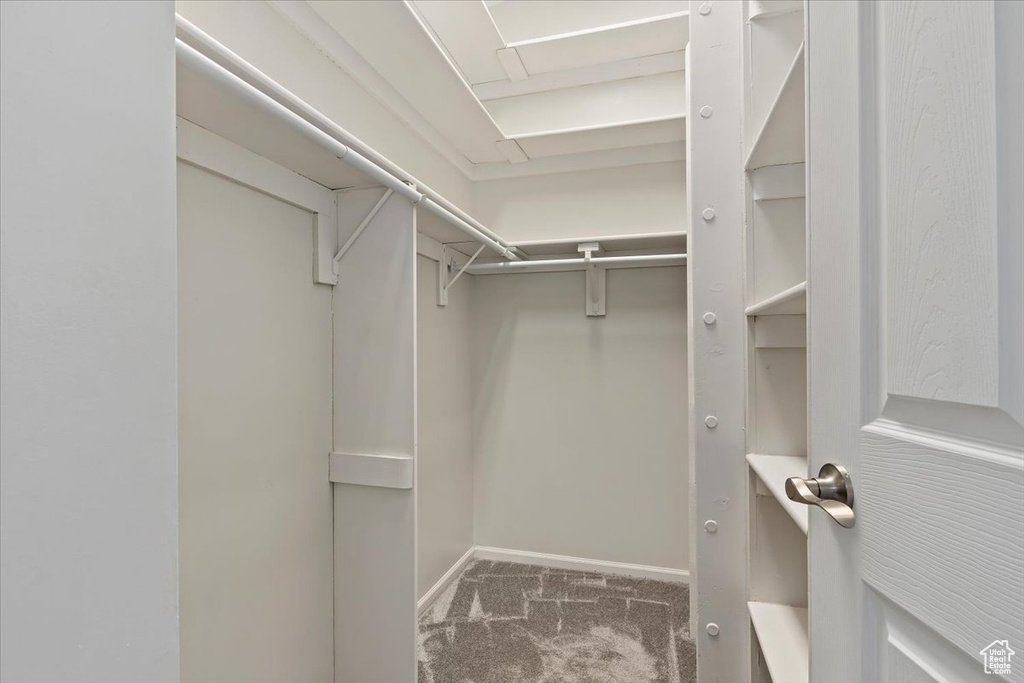 Spacious closet featuring carpet