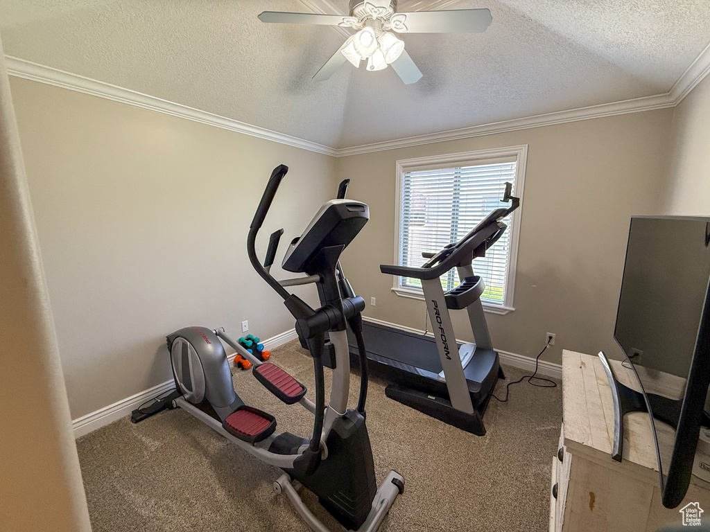 Exercise area featuring baseboards, a textured ceiling, ornamental molding, and ceiling fan
