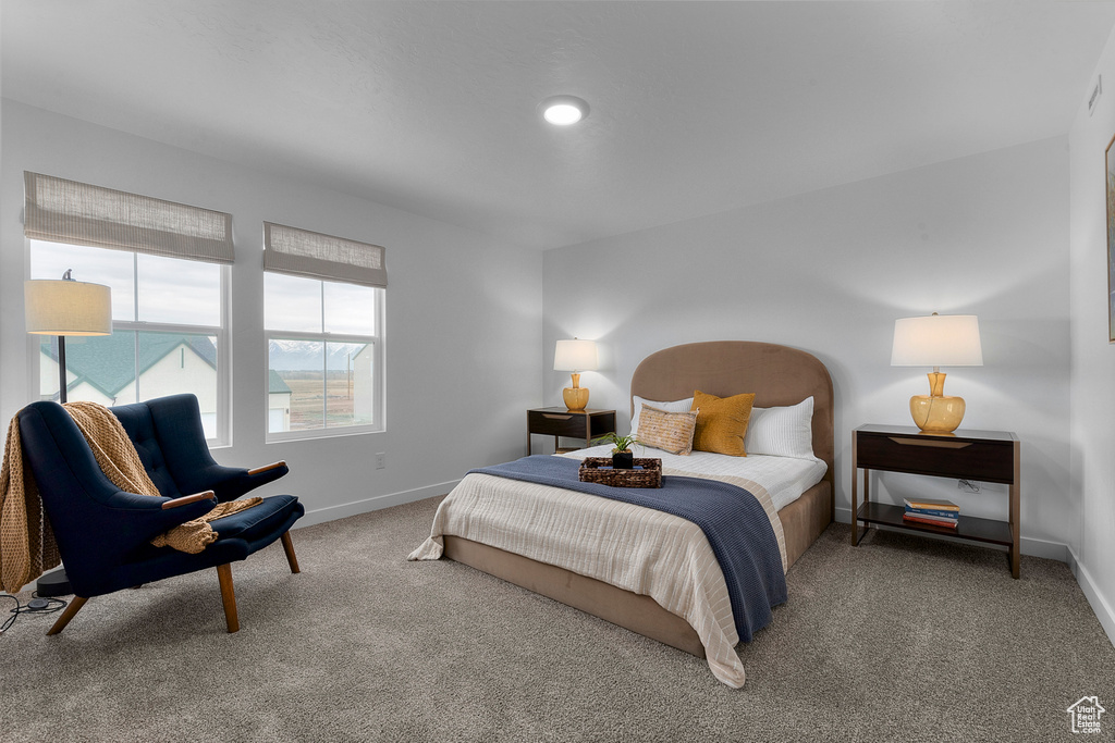 Bedroom with baseboards, carpet flooring, and recessed lighting