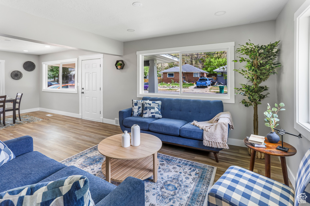 Living area with baseboards, a wealth of natural light, and wood finished floors
