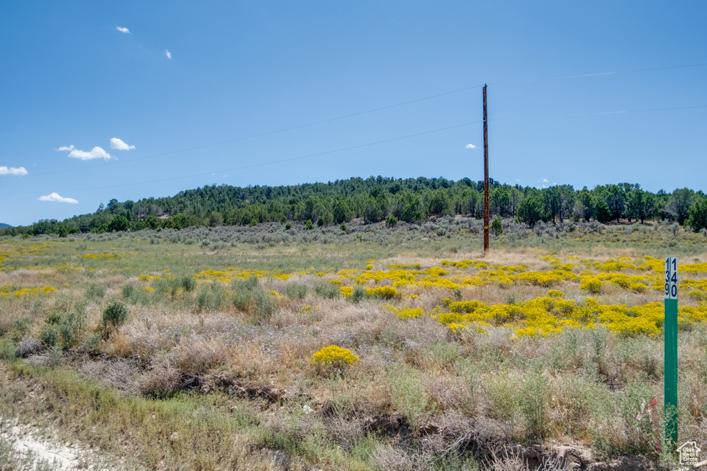 View of landscape featuring a rural view