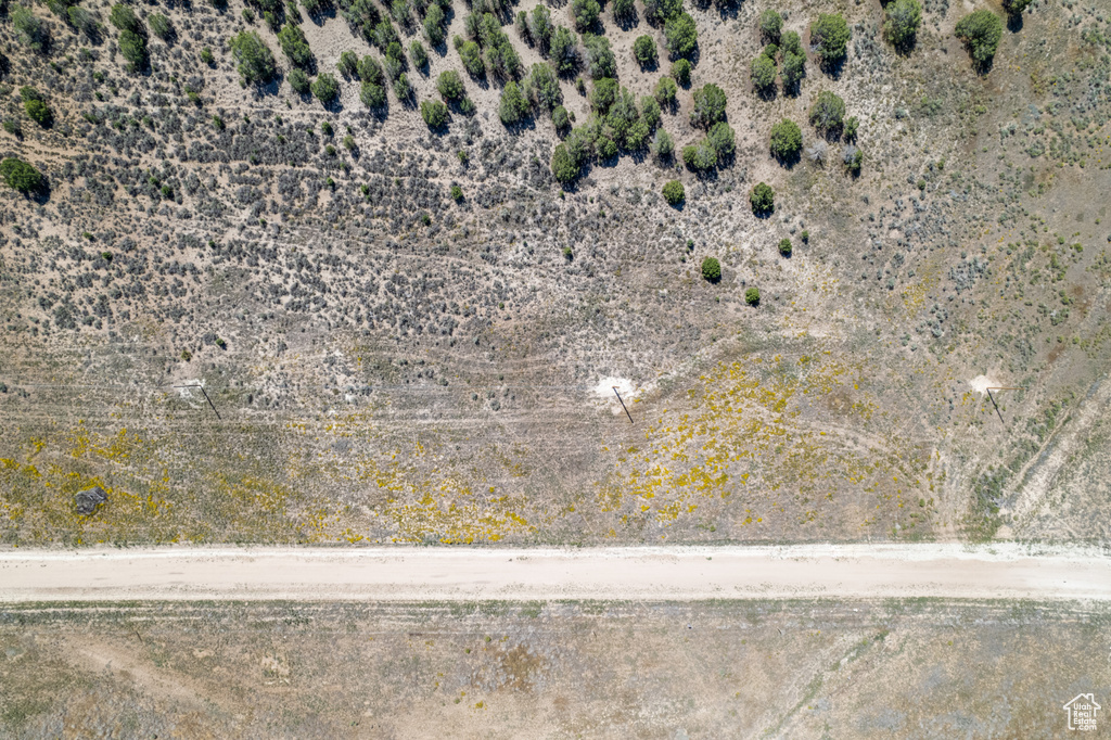 Drone / aerial view featuring view of desert