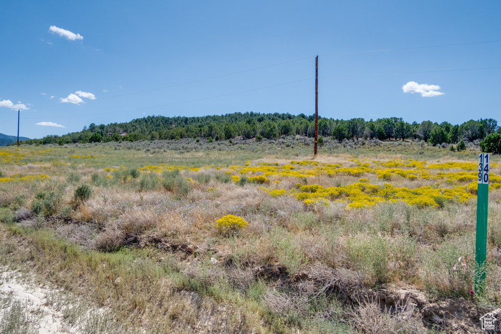 View of landscape featuring a rural view