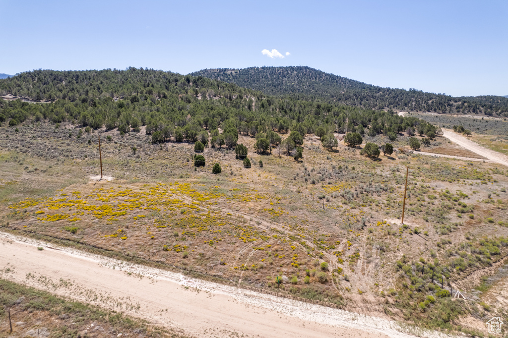 Mountain view featuring a rural view and a wooded view