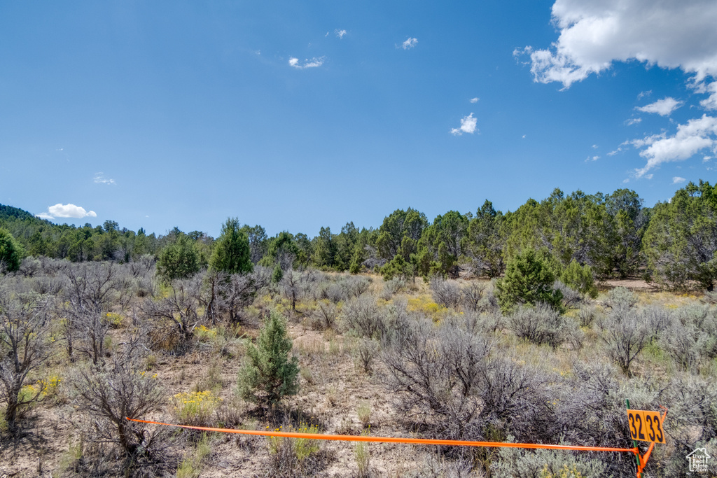 View of local wilderness with a wooded view