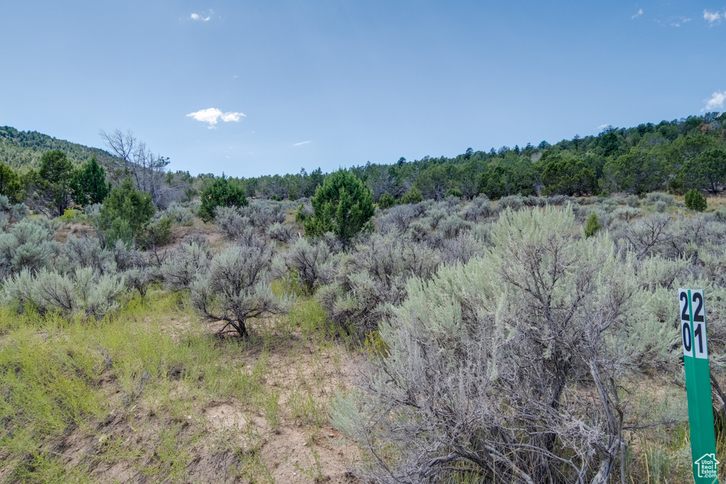 View of local wilderness featuring a forest view