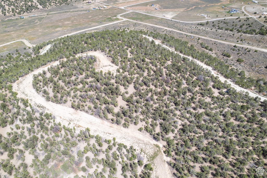 Drone / aerial view featuring a rural view