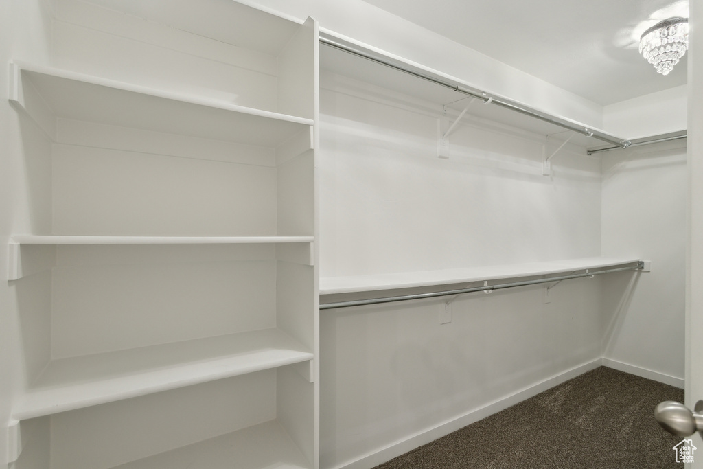Spacious closet featuring dark colored carpet