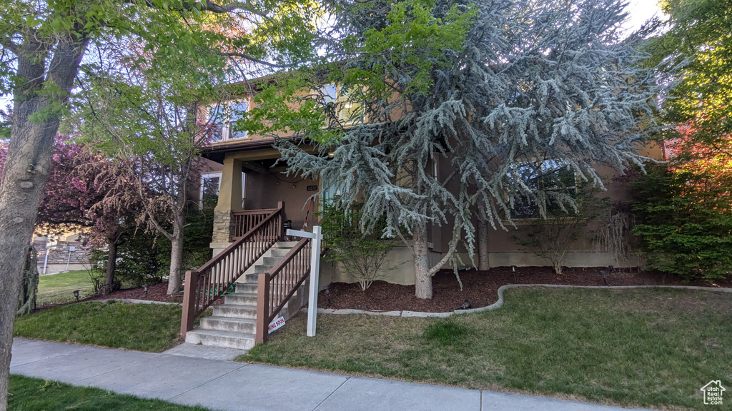 View of property hidden behind natural elements with stairs, a front lawn, and stucco siding