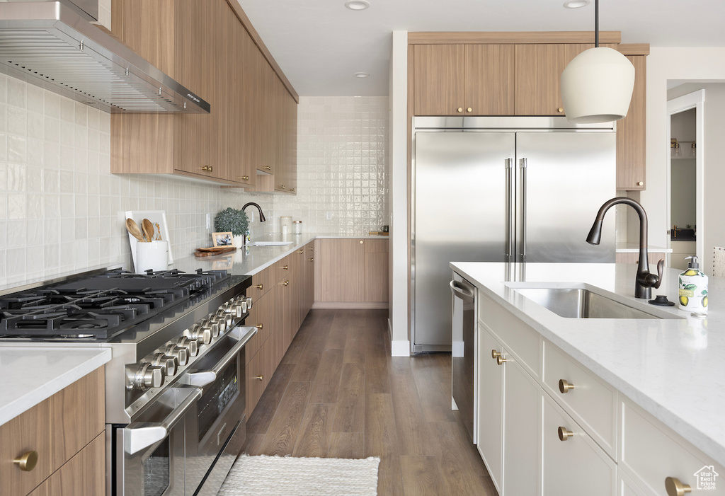 Kitchen with a sink, decorative backsplash, ventilation hood, and premium appliances