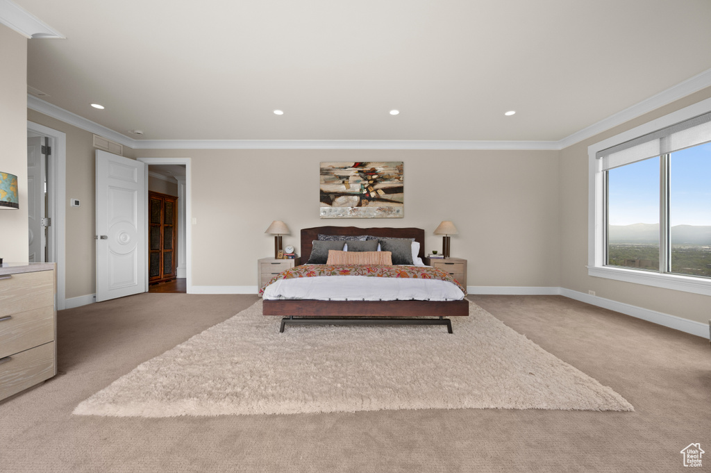 Bedroom with baseboards, carpet flooring, and ornamental molding