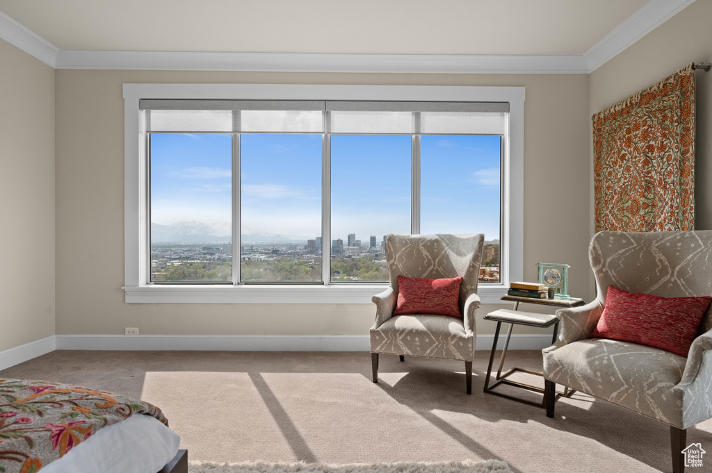 Living area featuring crown molding, a city view, carpet flooring, and baseboards