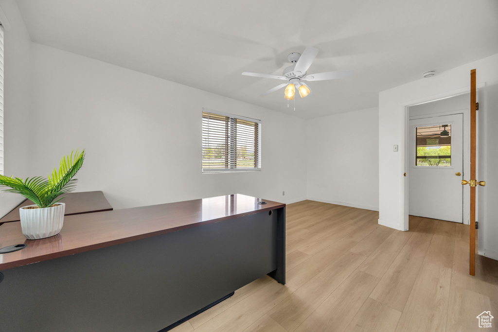 Office area with ceiling fan, baseboards, and light wood-type flooring
