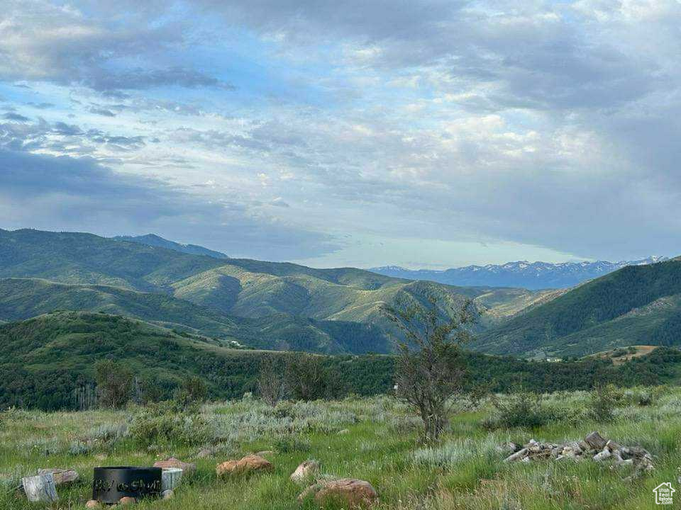 Mountain view