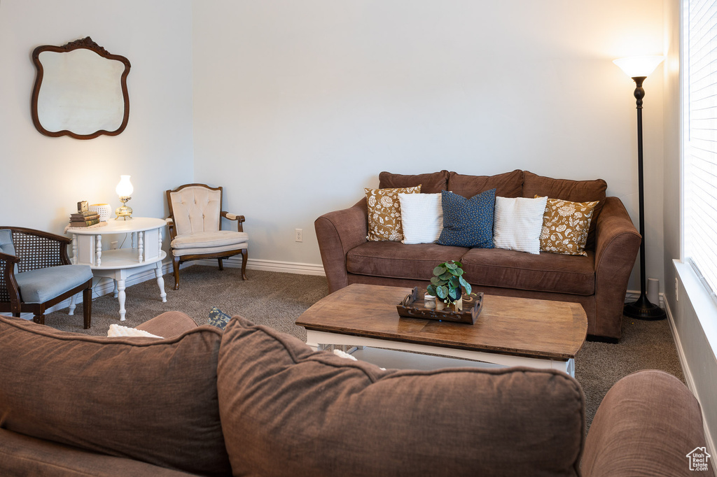Living area featuring baseboards and carpet
