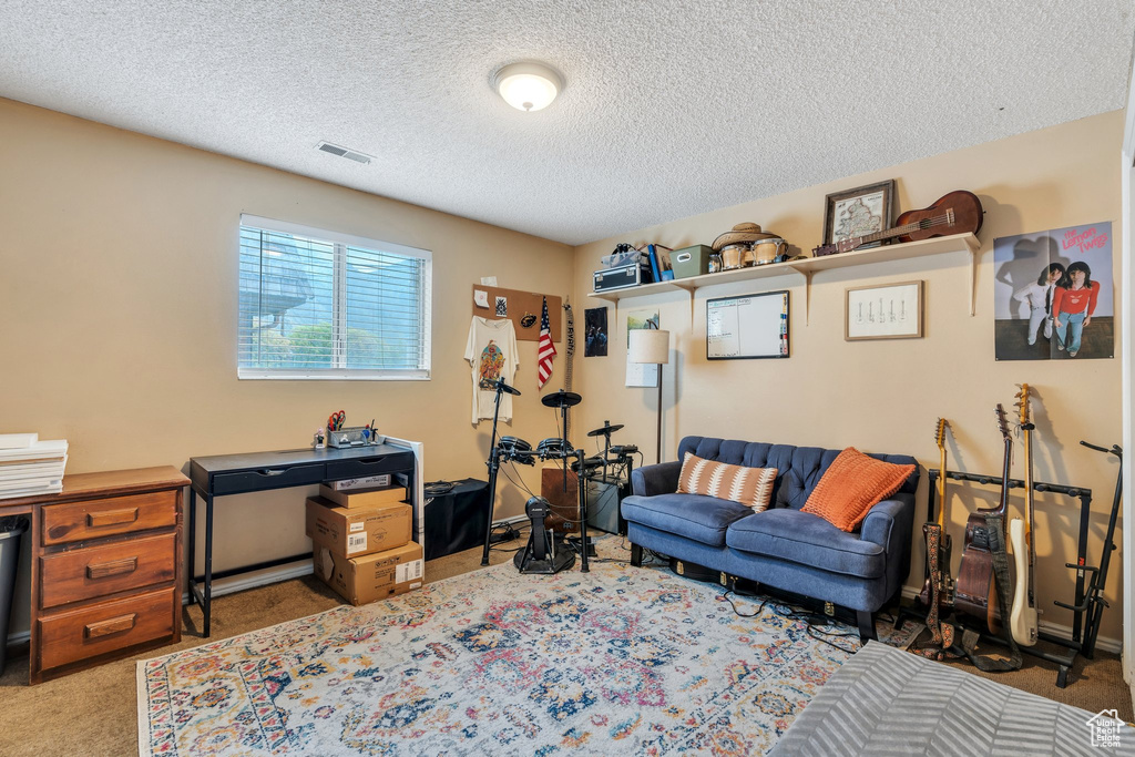 Interior space with carpet, a textured ceiling, and visible vents