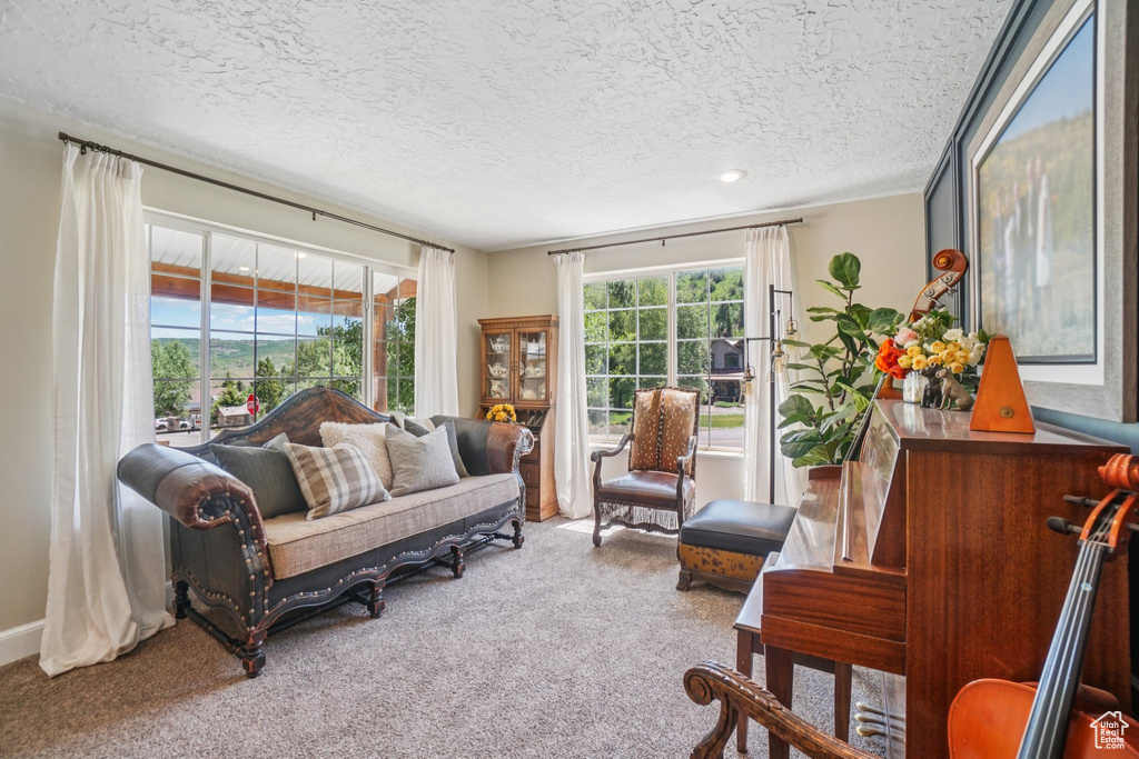 Carpeted living area with a textured ceiling
