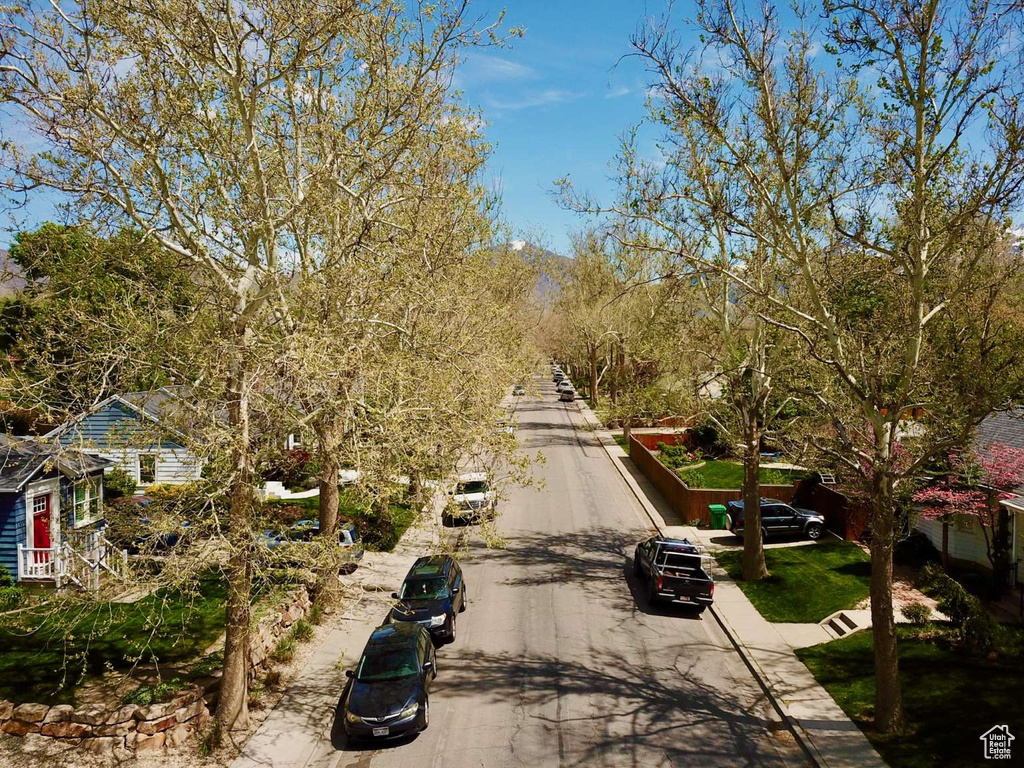 View of road featuring sidewalks and curbs