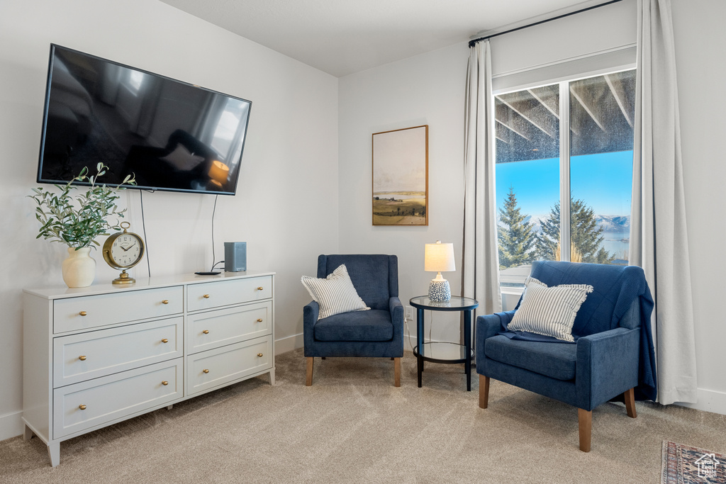 Living area featuring baseboards and light colored carpet