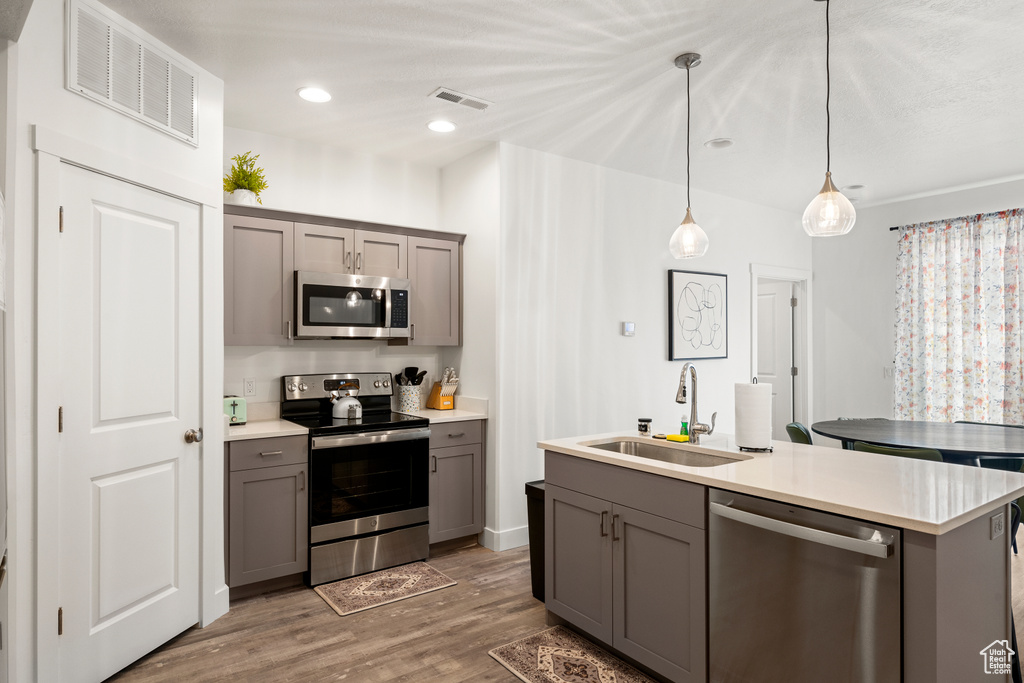 Kitchen with visible vents, a sink, gray cabinets, and appliances with stainless steel finishes