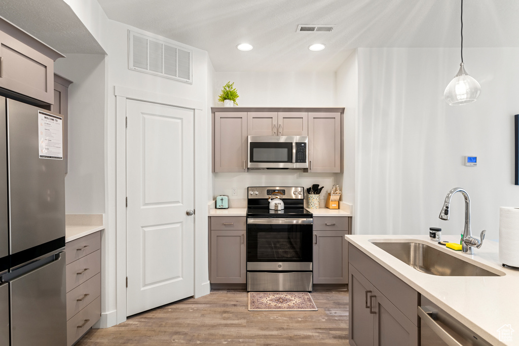 Kitchen with visible vents, gray cabinets, a sink, light wood finished floors, and stainless steel appliances