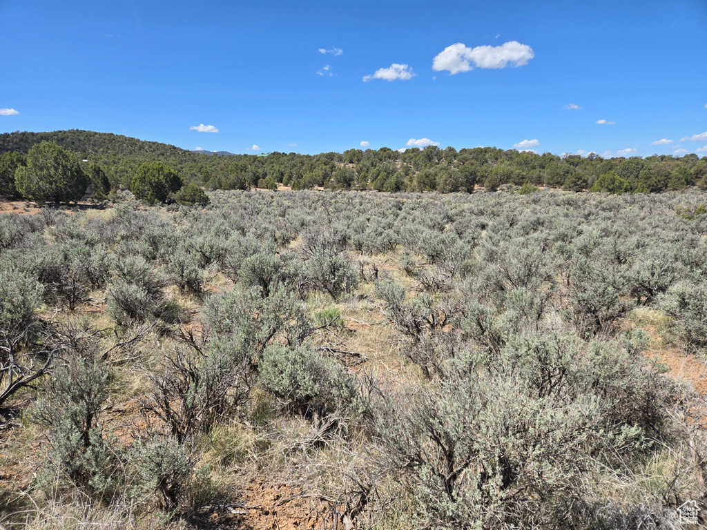 View of mountain feature featuring a forest view