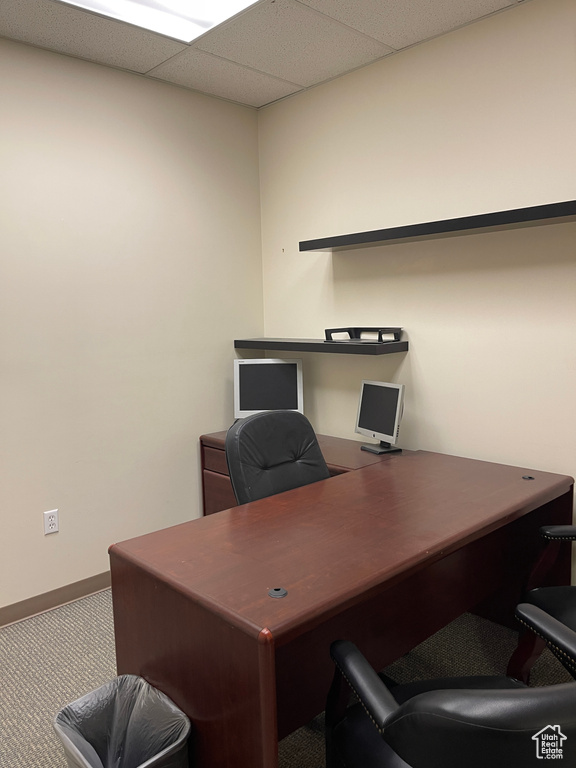Office space featuring carpet flooring, baseboards, and a drop ceiling
