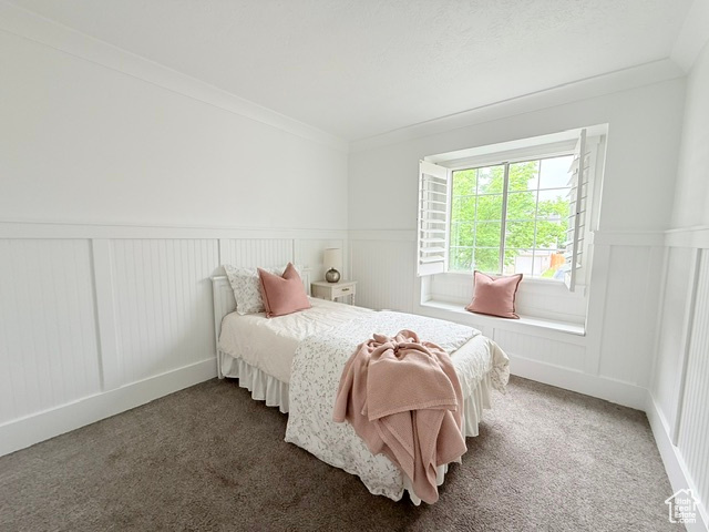 Carpeted bedroom featuring a decorative wall, a wainscoted wall, and ornamental molding