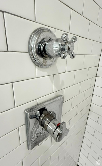 Interior details with tiled shower