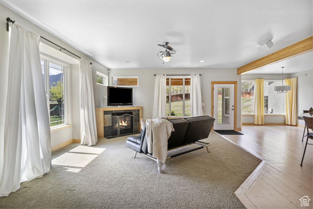 Living area featuring wood finished floors, recessed lighting, a healthy amount of sunlight, and a fireplace