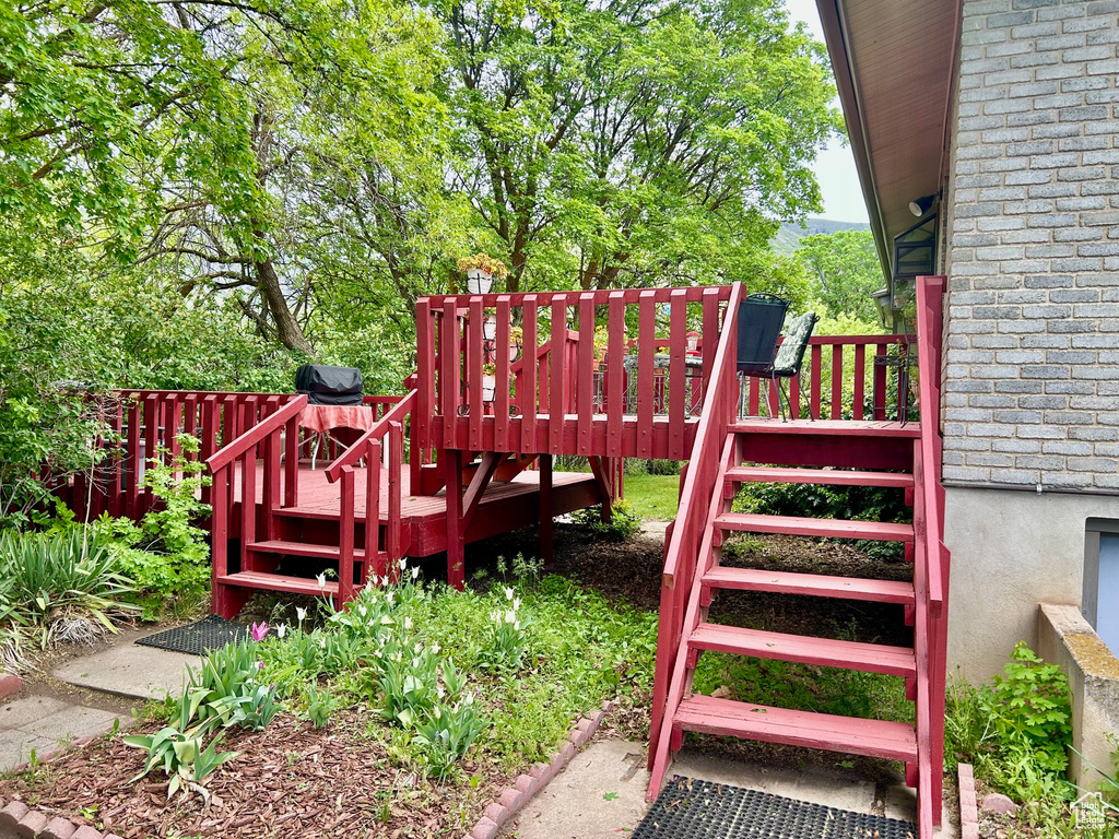 Wooden terrace with stairs