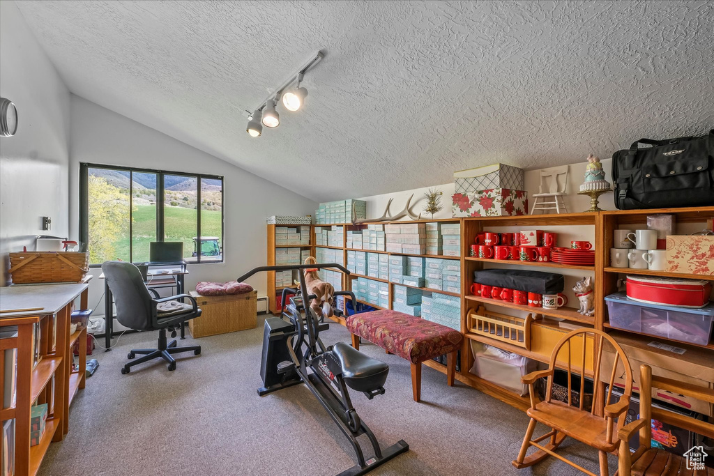 Carpeted home office with track lighting, a textured ceiling, and vaulted ceiling