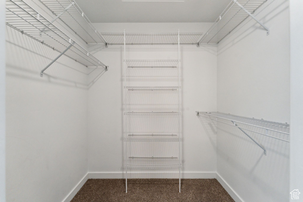 Walk in closet with carpet flooring