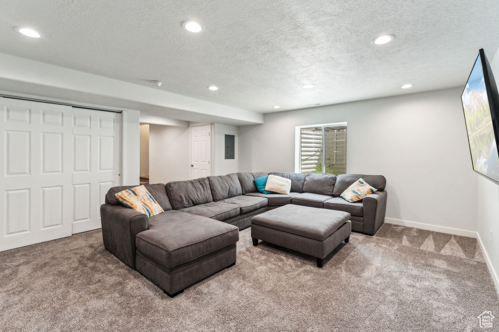 Living area featuring recessed lighting, a textured ceiling, and carpet
