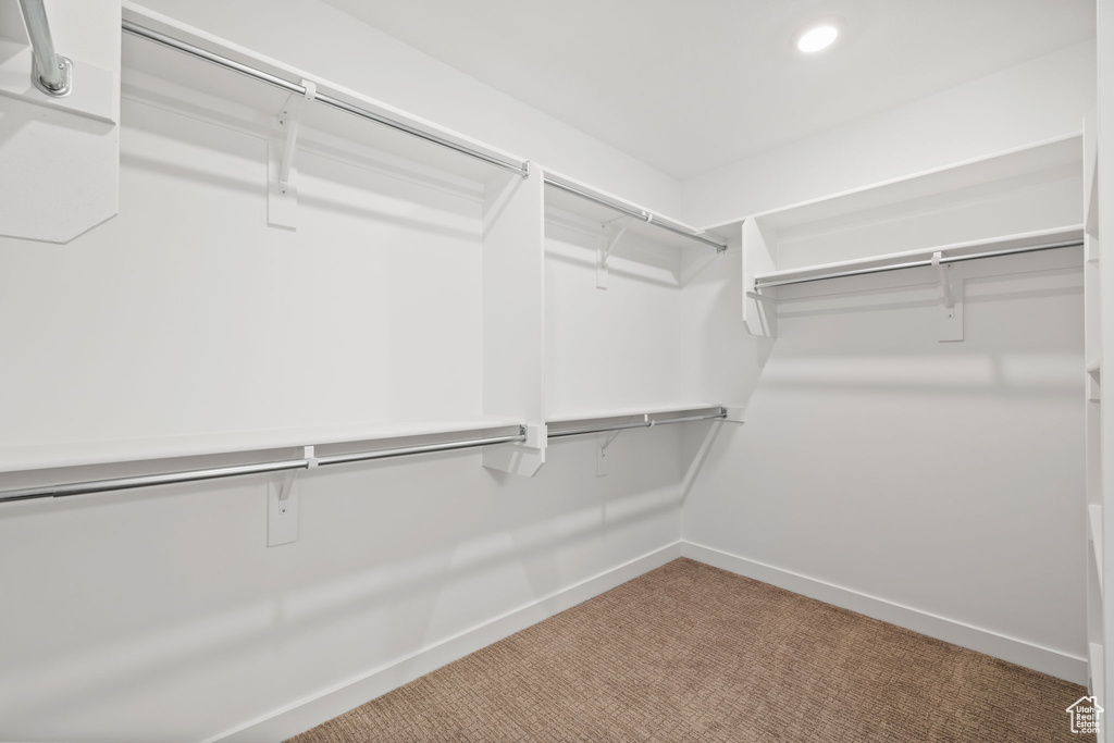 Spacious closet featuring carpet floors