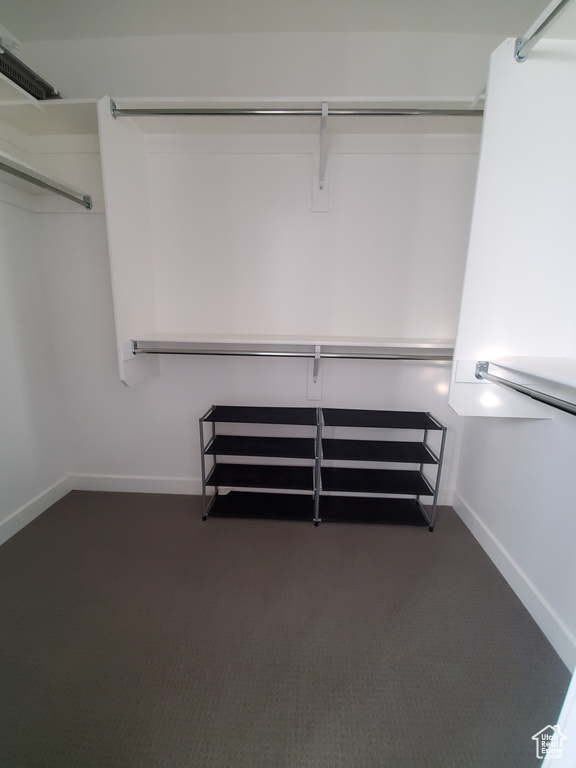 Spacious closet featuring dark carpet
