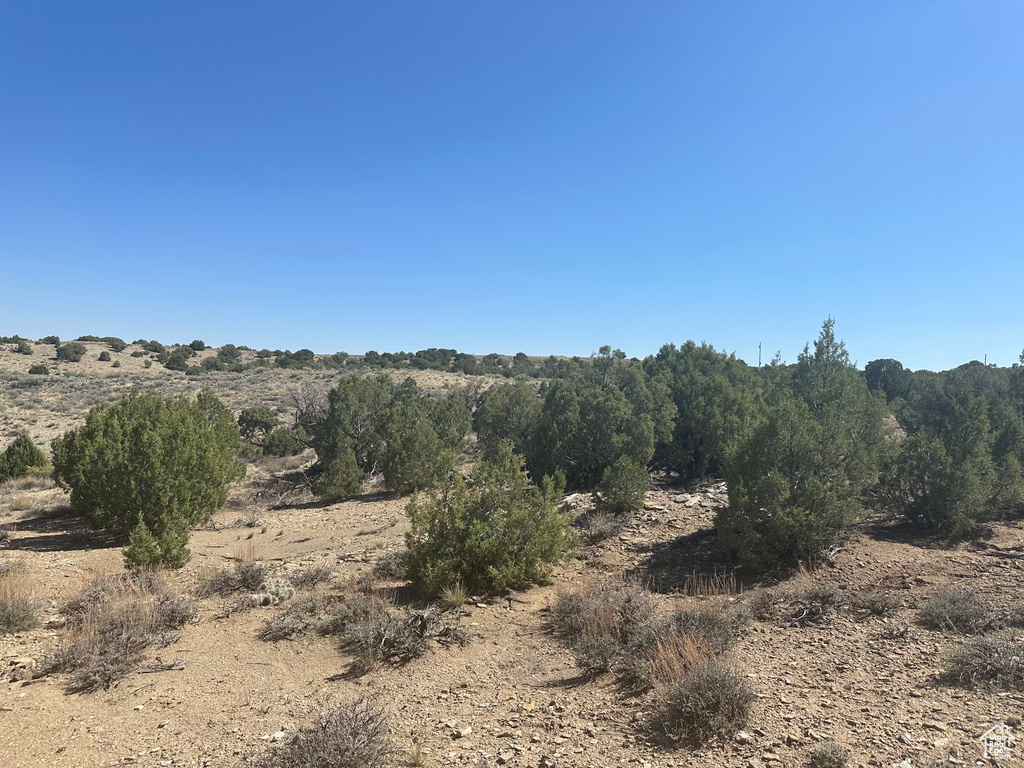 View of landscape