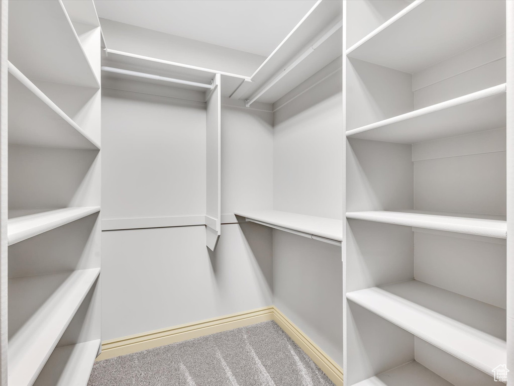 Walk in closet featuring carpet flooring