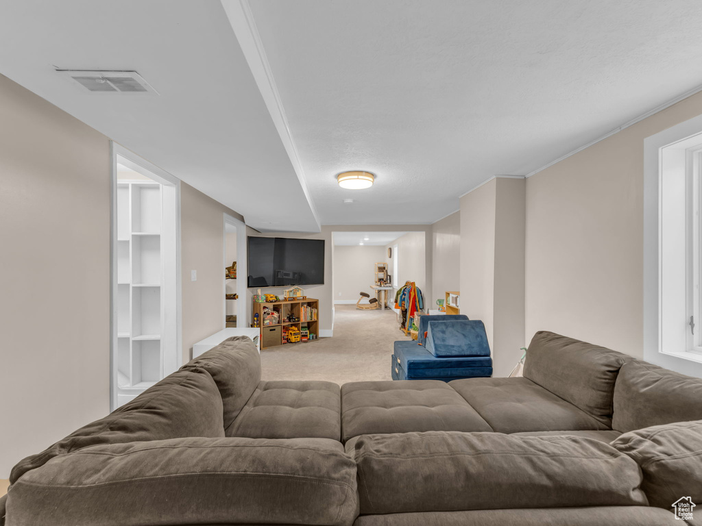 Carpeted living area with visible vents