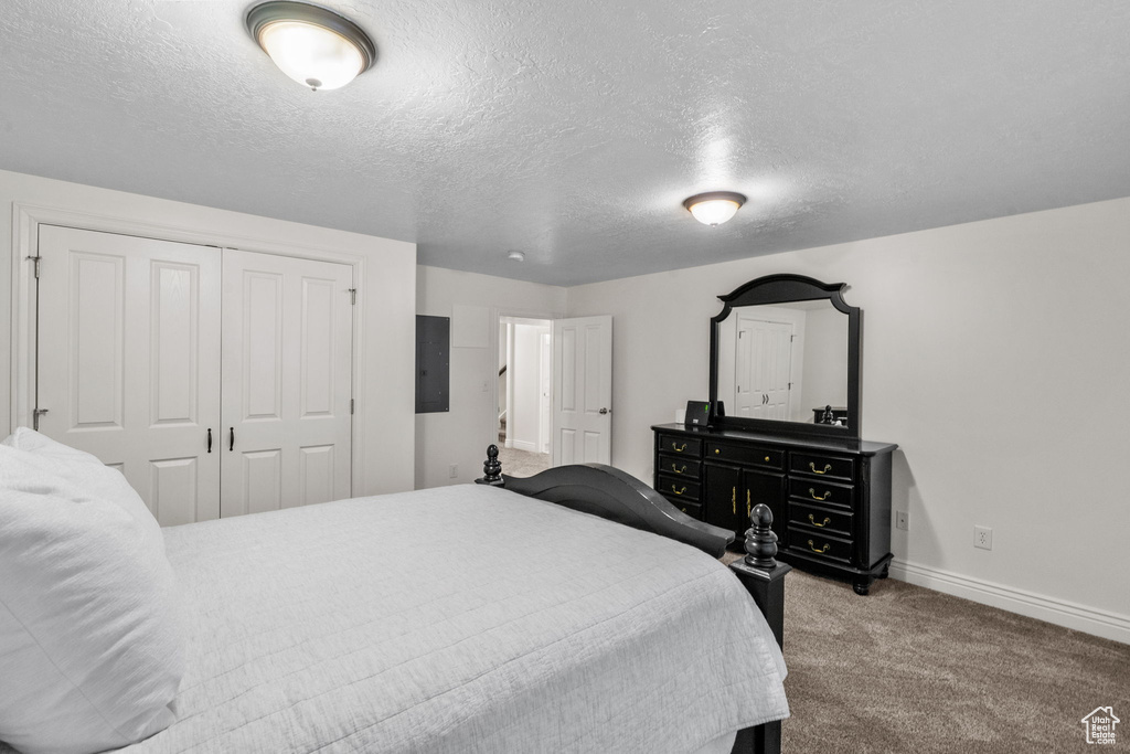Bedroom featuring electric panel, a textured ceiling, carpet floors, baseboards, and a closet