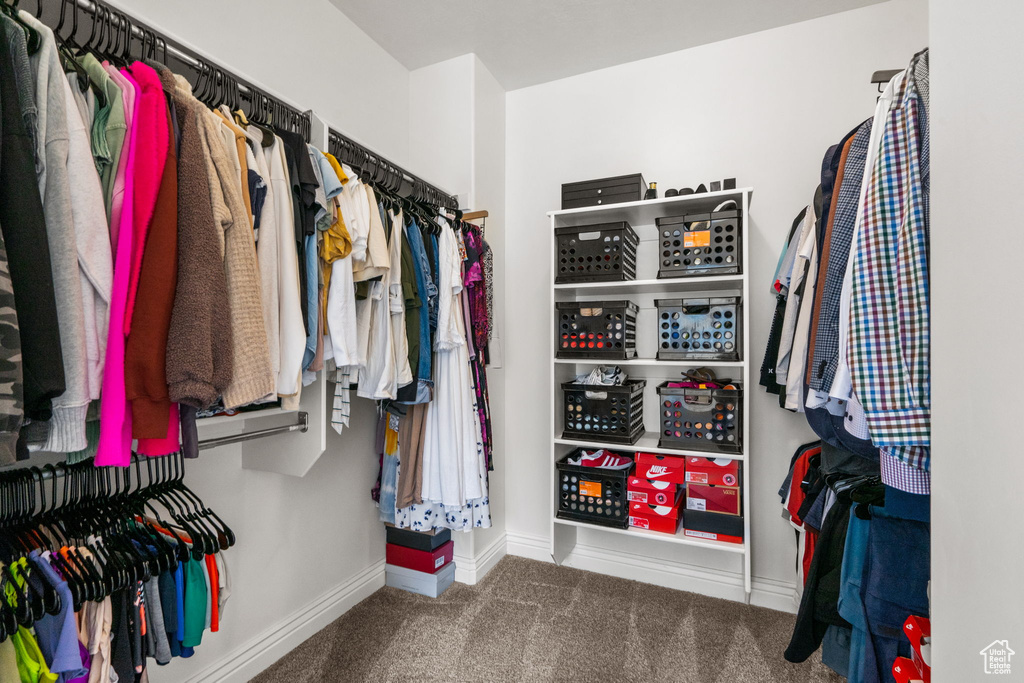Walk in closet with carpet floors