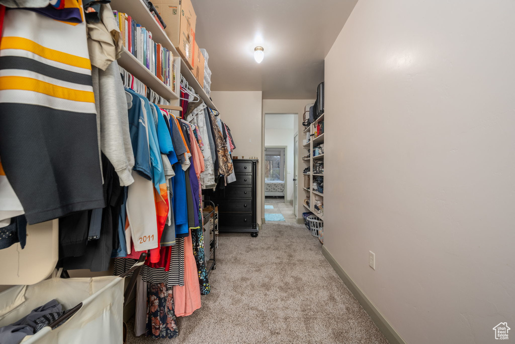Spacious closet featuring carpet