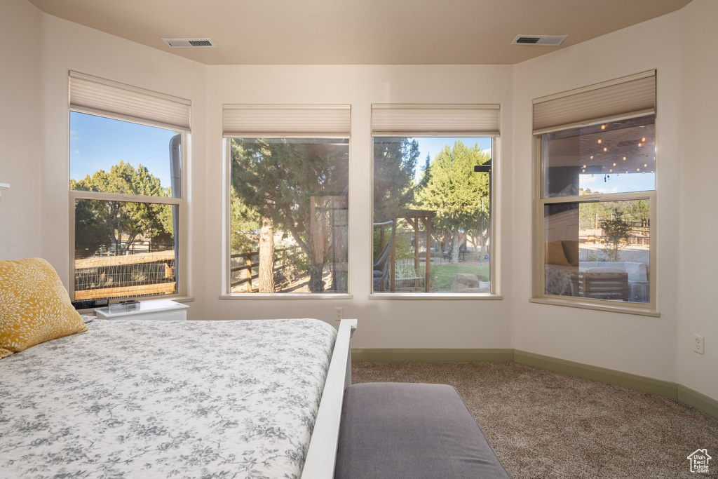 Carpeted bedroom featuring baseboards, visible vents, and multiple windows