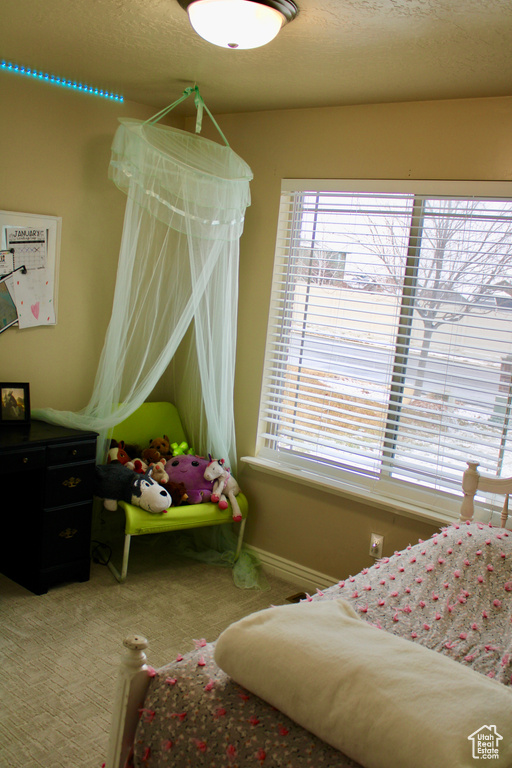 Bedroom with carpet floors and baseboards