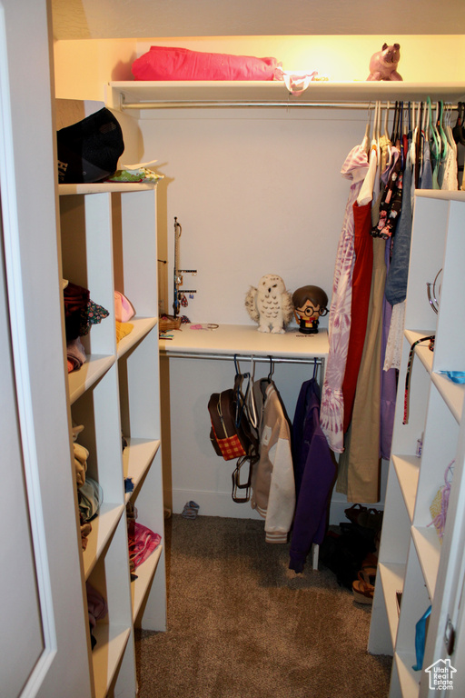 Spacious closet with carpet