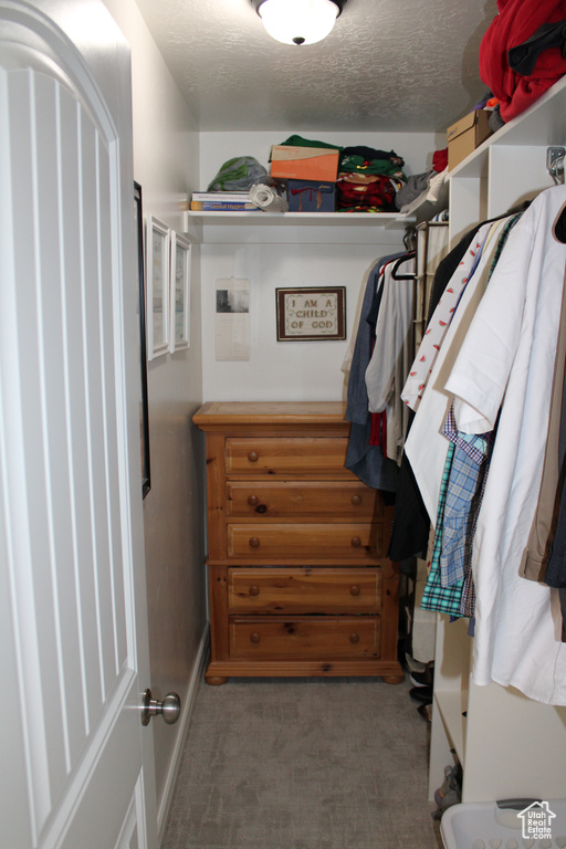 Spacious closet with carpet