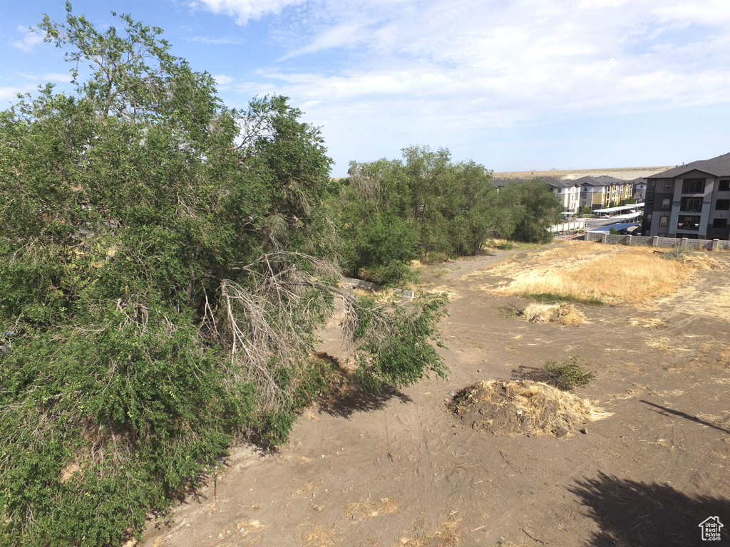 View of local wilderness
