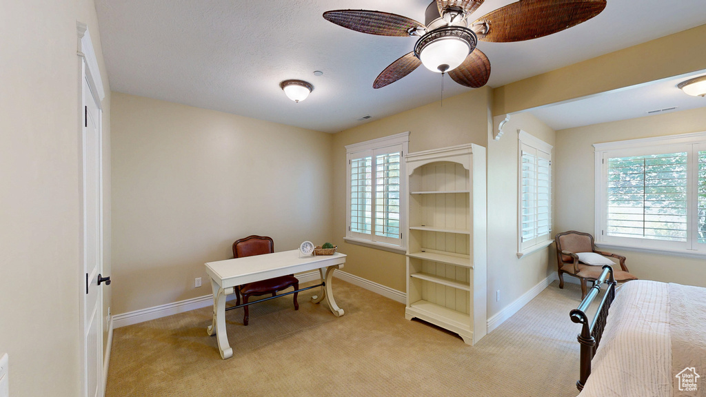 Home office featuring a ceiling fan, baseboards, light carpet, and a healthy amount of sunlight