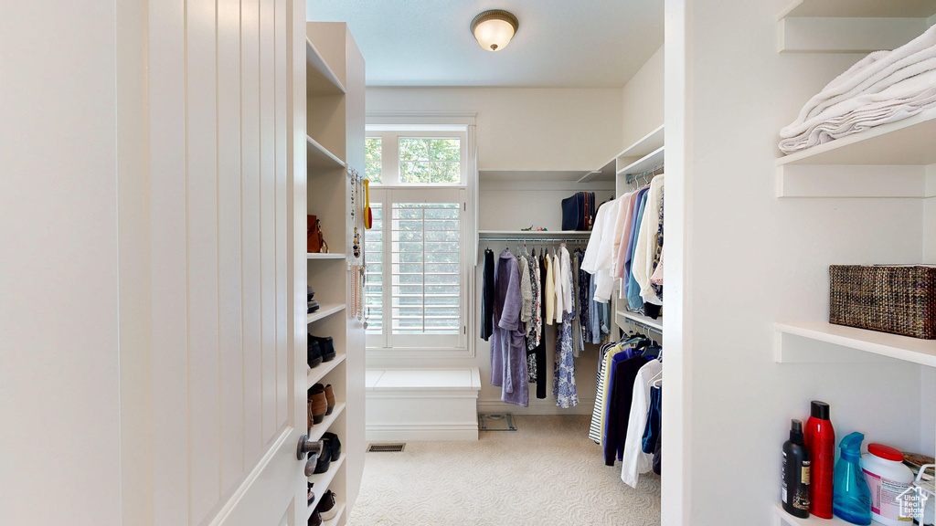 Walk in closet with carpet and visible vents