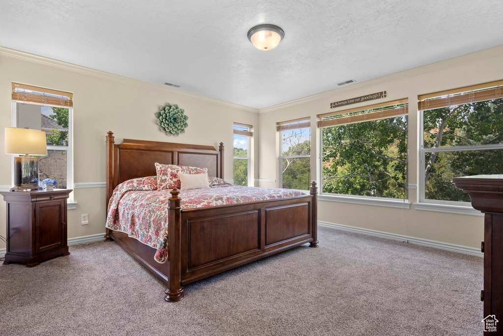 Carpeted bedroom featuring crown molding, baseboards, visible vents, and multiple windows